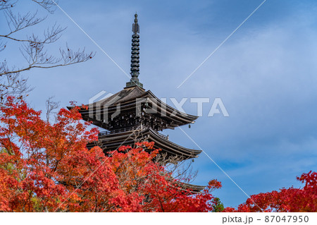 定義如来 西方寺五重塔 秋の紅葉(宮城県仙台市) 定義如来 西方寺五重塔 秋の紅葉(宮城県仙台市) 87047950