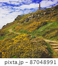 英国・イングランド・コーンウォールの岬　春の風景 87048991