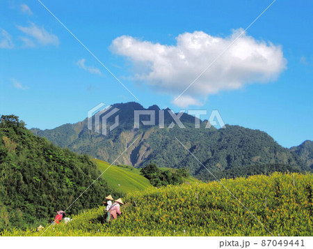 景色 風景 湖 87049441