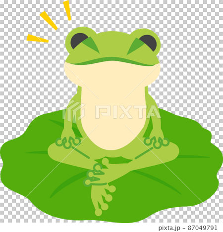 盤腿坐在荷葉上的青蛙角色 盤腿坐在荷葉上的青蛙角色 87049791