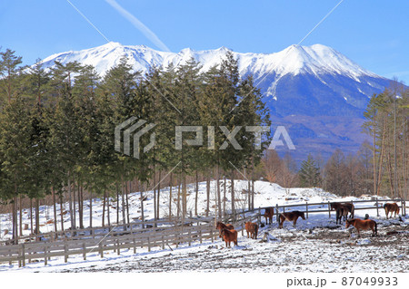 冬の開田高原 木曽馬の里 冬の開田高原 木曽馬の里 87049933
