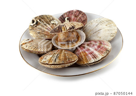 Scallops 87050144