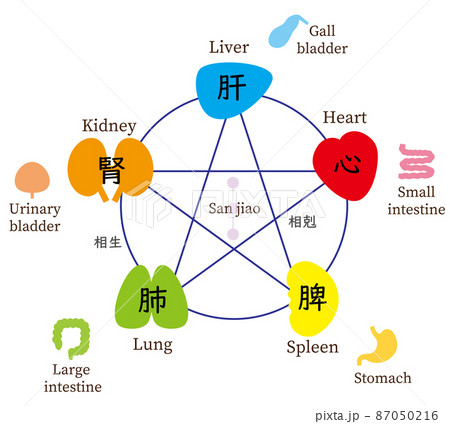 五行と五臓六腑、東洋医学、英語 87050216