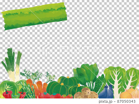 水彩風 野菜色々セットタイトルつき フレーム(サンプル文字なし・背景白) 水彩風 野菜色々セットタイトルつき フレーム(サンプル文字なし・背景白) 87050343