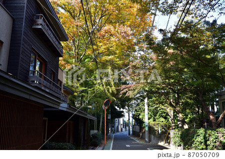 世田谷・羽根木の森の紅葉 世田谷・羽根木の森の紅葉 87050709