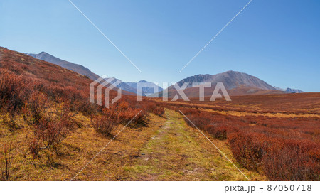 Dirt road through the autumn mountain plateau. Rough dirt road leading through orange autumn fields into mountains beyond under blue sky. Panoramic view. 87050718