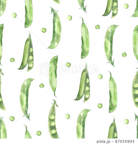 Seamless pattern with watercolor pea pods. Illustrated organic food. Background for wrapping paper, label and packaging. Seamless pattern with watercolor pea pods. Illustrated organic food. Background for wrapping paper, label and packaging. 87050993