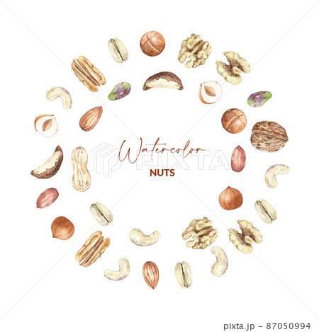 Card design with nuts. Raw pecan, walnut, almond, pistachio, peanut, macadamia, hazelnut and cashew. Hand drawn watercolor illustration of organic food for packaging, label, card. 87050994