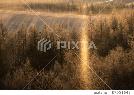 【北海道上富良野町】サンピラー　ダイヤモンドダスト　 87051645