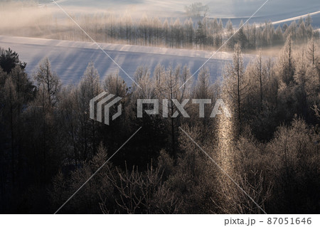 【北海道上富良野町】サンピラー　ダイヤモンドダスト　 87051646