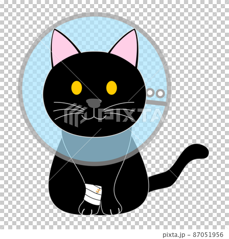 伊麗莎白項圈的黑貓 87051956