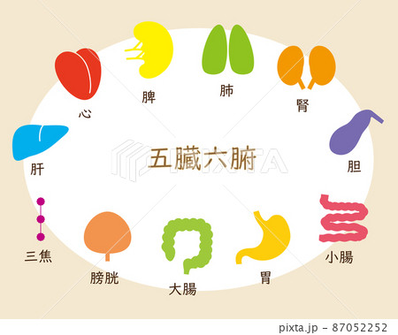 カラフルで楽しい五臓六腑のアイコン、日本語、 87052252