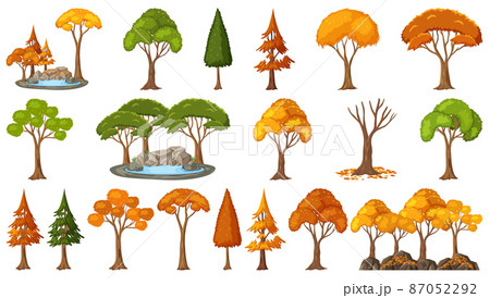 Set of four seasons trees on white background 87052292