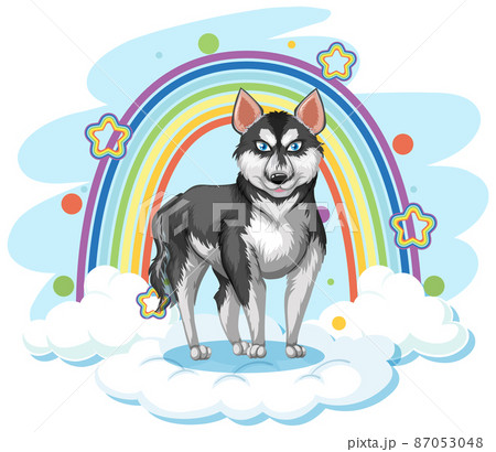Cute dog on the cloud with rainbow 87053048