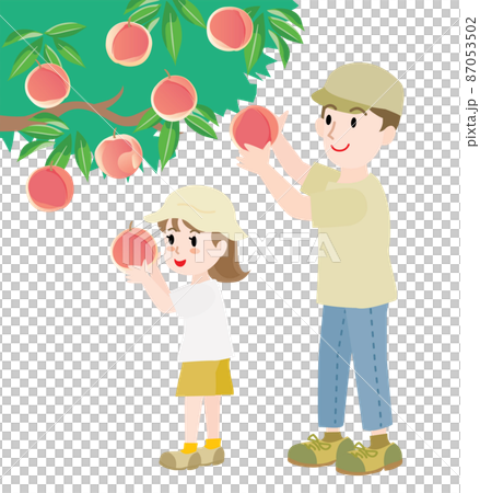 桃狩りをする親子 87053502