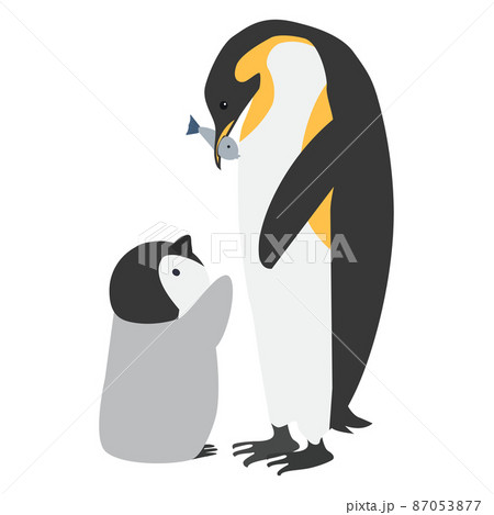 Mother and Child penguin feeding her baby cartoon Mother and Child penguin feeding her baby cartoon 87053877