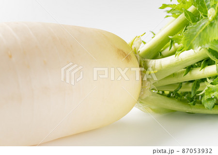 大根 大根 87053932