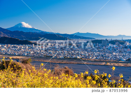 （静岡県）菜の花の向こうに、静岡市の街並みと富士山　早朝 87053996