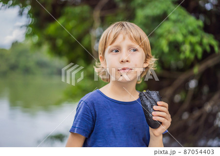 Boy eating Vietnamese Pork Banh Mi Sandwich in a black baguette Boy eating Vietnamese Pork Banh Mi Sandwich in a black baguette 87054403