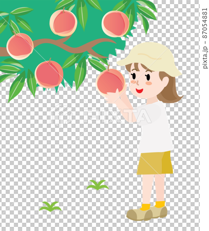 桃狩りをする女の子 桃狩りをする女の子 87054881