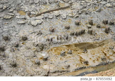 2月 港区1696群杭・高輪築堤跡発掘調査現場・海上鉄道遺構 2月 港区1696群杭・高輪築堤跡発掘調査現場・海上鉄道遺構 87055092