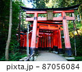 千本鳥居　伏見 87056084