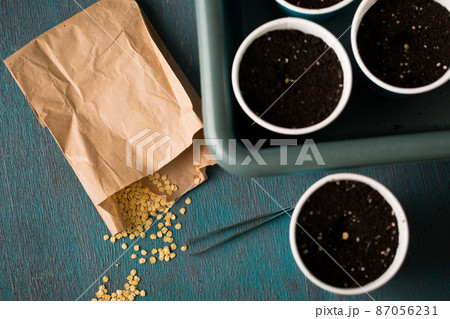 Garden still life, top view Garden still life, top view 87056231