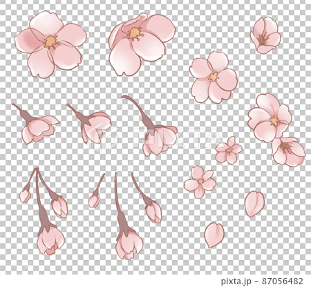 春天櫻花花瓣手繪素材 87056482
