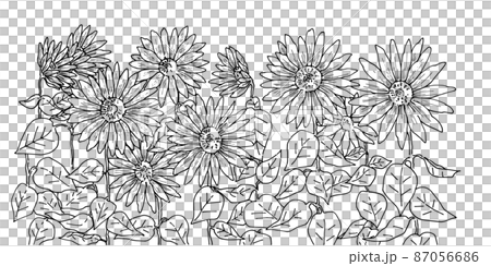 手描き線画のひまわり畑のイラスト素材