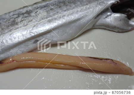 太刀魚の魚卵 太刀魚の魚卵 87056736
