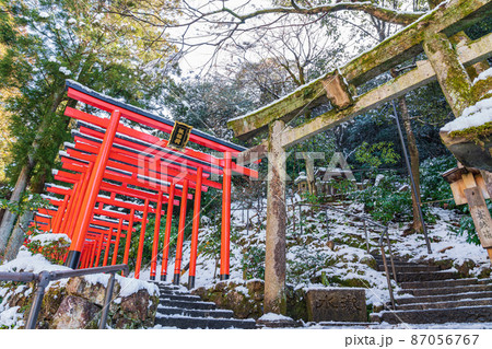 雪の伊奈波神社〈岐阜県岐阜市〉 87056767