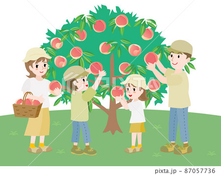 桃狩りをする家族 87057736