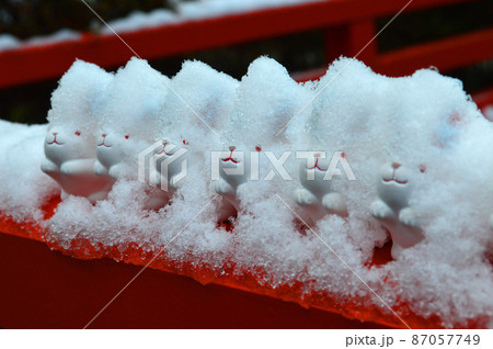 積雪の京都市岡崎神社のカワイイ兎おみくじ 87057749