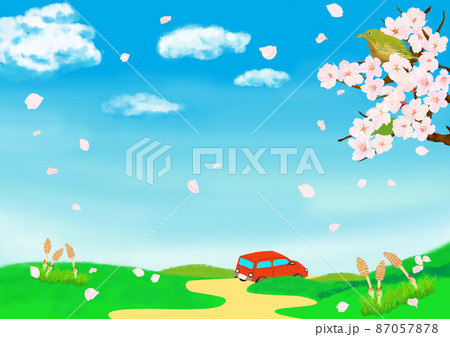 桜の花が満開で青空と草原の中に一台の車が走るのイラスト素材