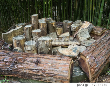 A pile of sawed stumps Park Arboretum A pile of sawed stumps Park Arboretum 87058530