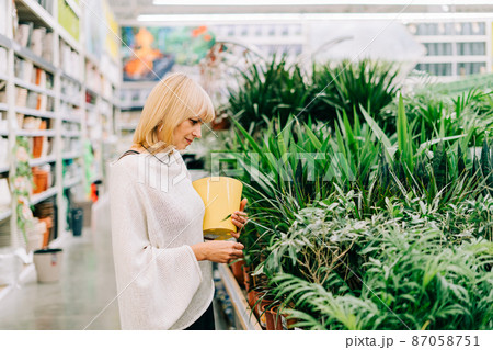 Gardening, planting and shopping concept. Beautiful mature adult woman choosing houseplants and pots in greenhouse or garden centre. Senior buying flowers plants at market store in mall Gardening, planting and shopping concept. Beautiful mature adult woman choosing houseplants and pots in greenhouse or garden centre. Senior buying flowers plants at market store in mall 87058751