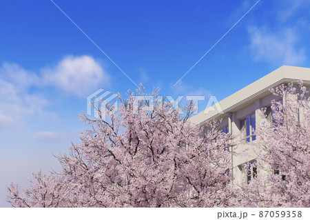 青空に咲く満開の桜と学校の校舎 / 学園ロケーション・卒業と入学・春の新生活のコンセプトイメージ 87059358