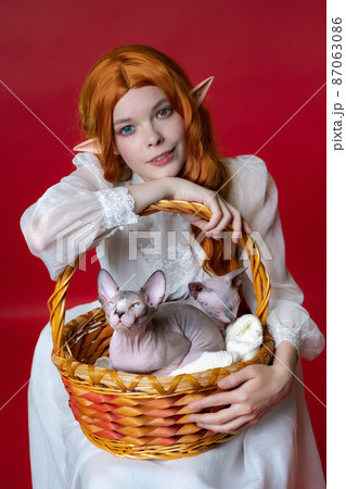 Cosplayer elf young redhead woman smiles, leaning on brown basket in which two cute Sphinx kittens are sitting calmly. Elf in white dress, with long curly hair, expressive look sits on red background. 87063086