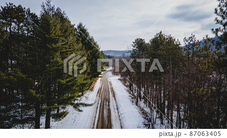 Pine trees amongst the snow covered road Pine trees amongst the snow covered road 87063405