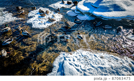 Ducks on the icy river on sunny day Ducks on the icy river on sunny day 87063475