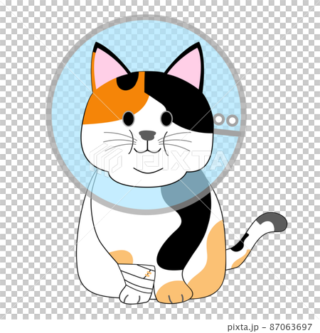 一隻帶著伊麗莎白時代項圈的肥貓,一隻印花布貓 一隻帶著伊麗莎白時代項圈的肥貓,一隻印花布貓 87063697