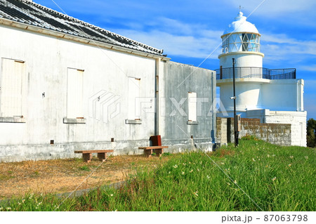 【和歌山県】晴天下の樫野埼灯台と水仙（紀伊大島） 87063798