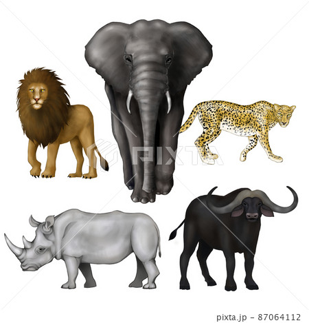 アフリカのビッグファイブの動物イラスト 87064112
