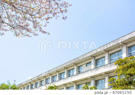 桜と校舎 87065250