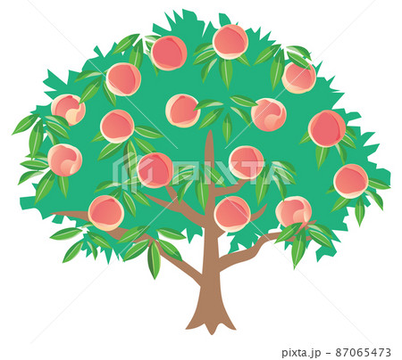 桃の木のイラストのイラスト素材