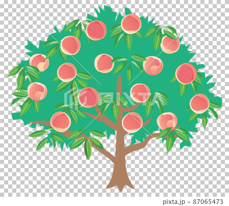桃の木のイラストのイラスト素材 [87065473] - PIXTA