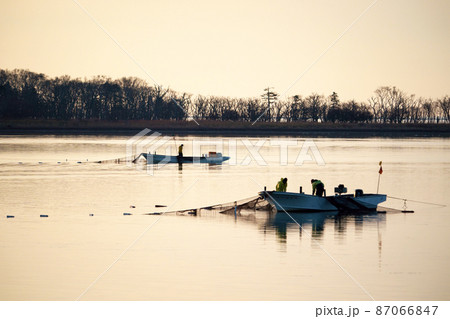 漁師の朝 87066847