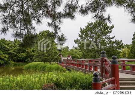 金沢文庫称名寺阿字ヶ池 金沢文庫称名寺阿字ヶ池 87066853