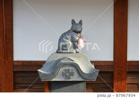 猫の石像（高林寺／大阪府堺市堺区神明町東3-1-3）の写真素材