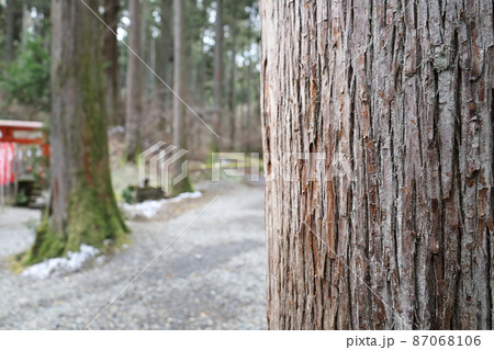 御岩神社の参道 87068106
